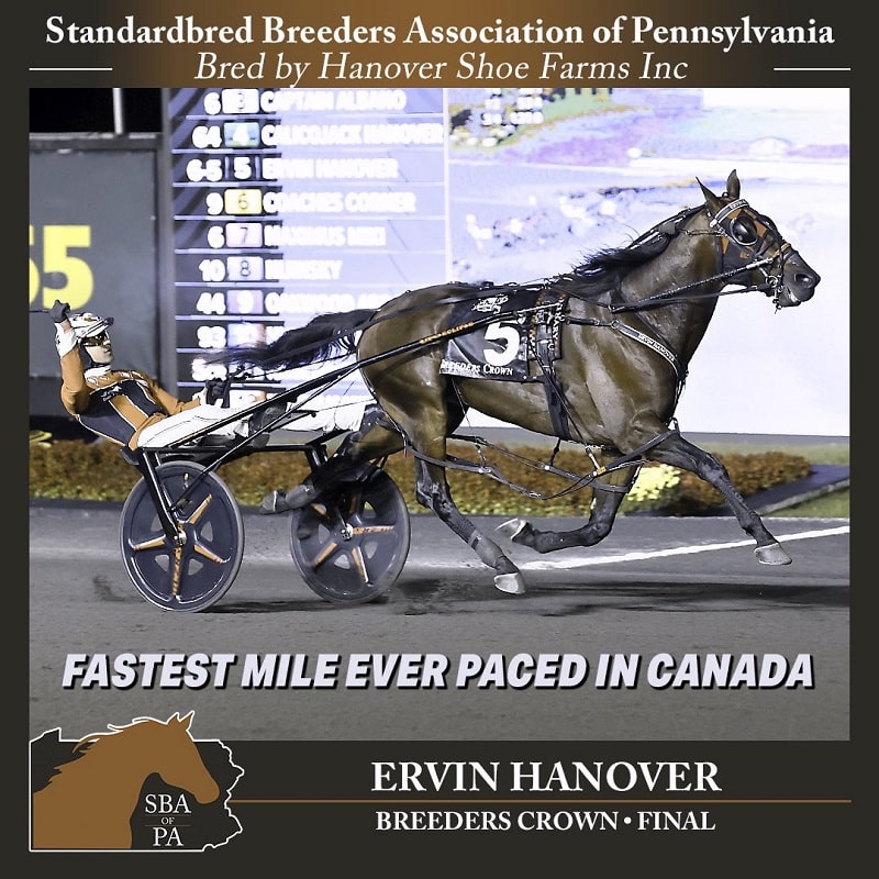 ERVIN HANOVER Pennsylvania dominates the 2025 Breeder's Crown - ERVIN HANOVER