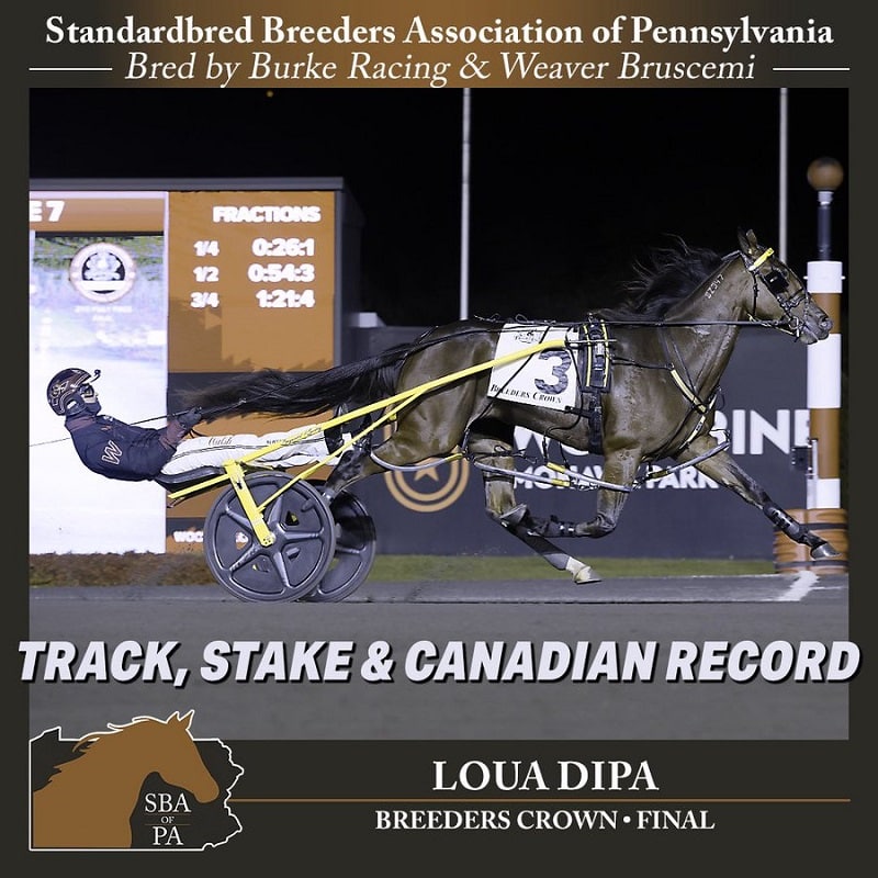 LOUA DIPA Pennsylvania dominates the 2025 Breeder's Crown - LOUA DIPA