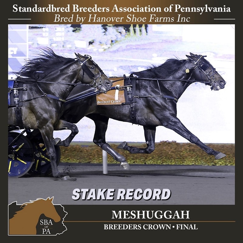 MESHUGGAH Pennsylvania dominates the 2025 Breeder's Crown -MESHUGGAH