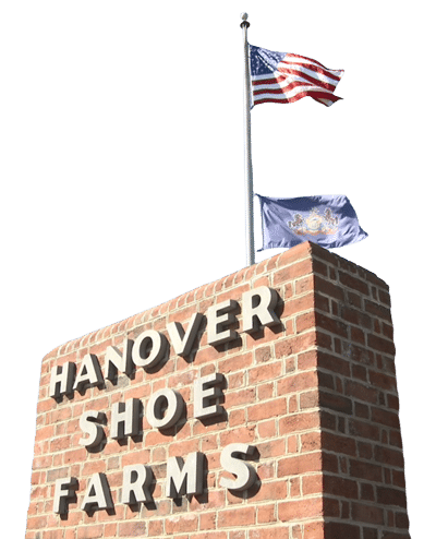 Hanover Exterior