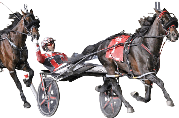 Mirage Hanover Wins
